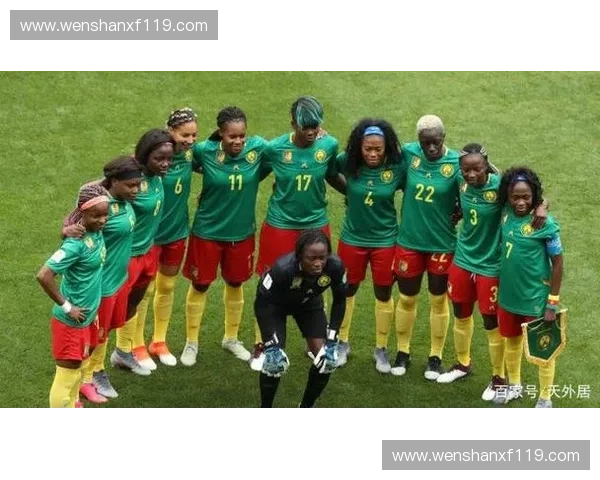 世界杯非洲劲旅风采全解析历史战绩与未来潜力展望